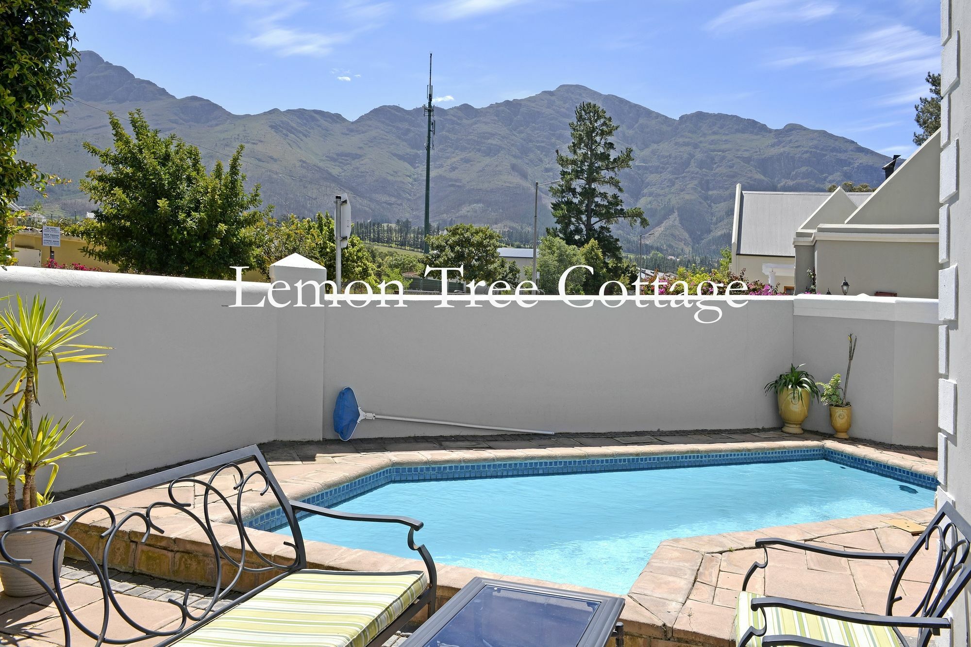 Lemon Tree Cottage Self Catering Franschhoek Buitenkant foto